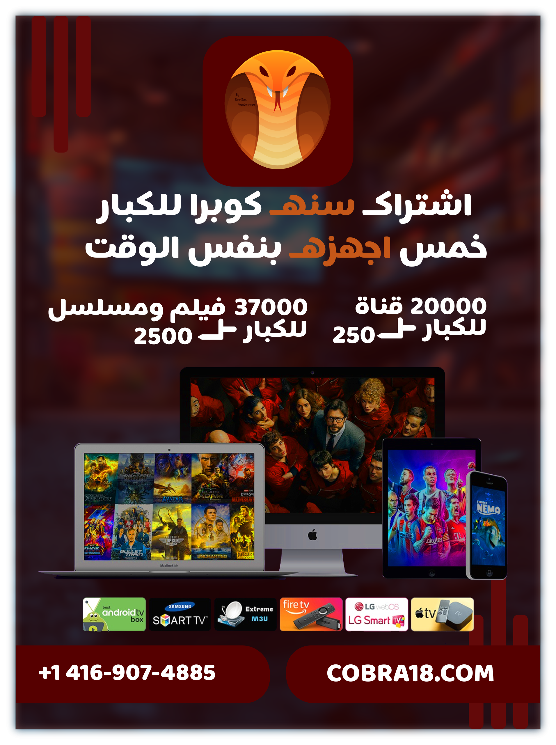 اشتراك سنه - خمس اجهزه