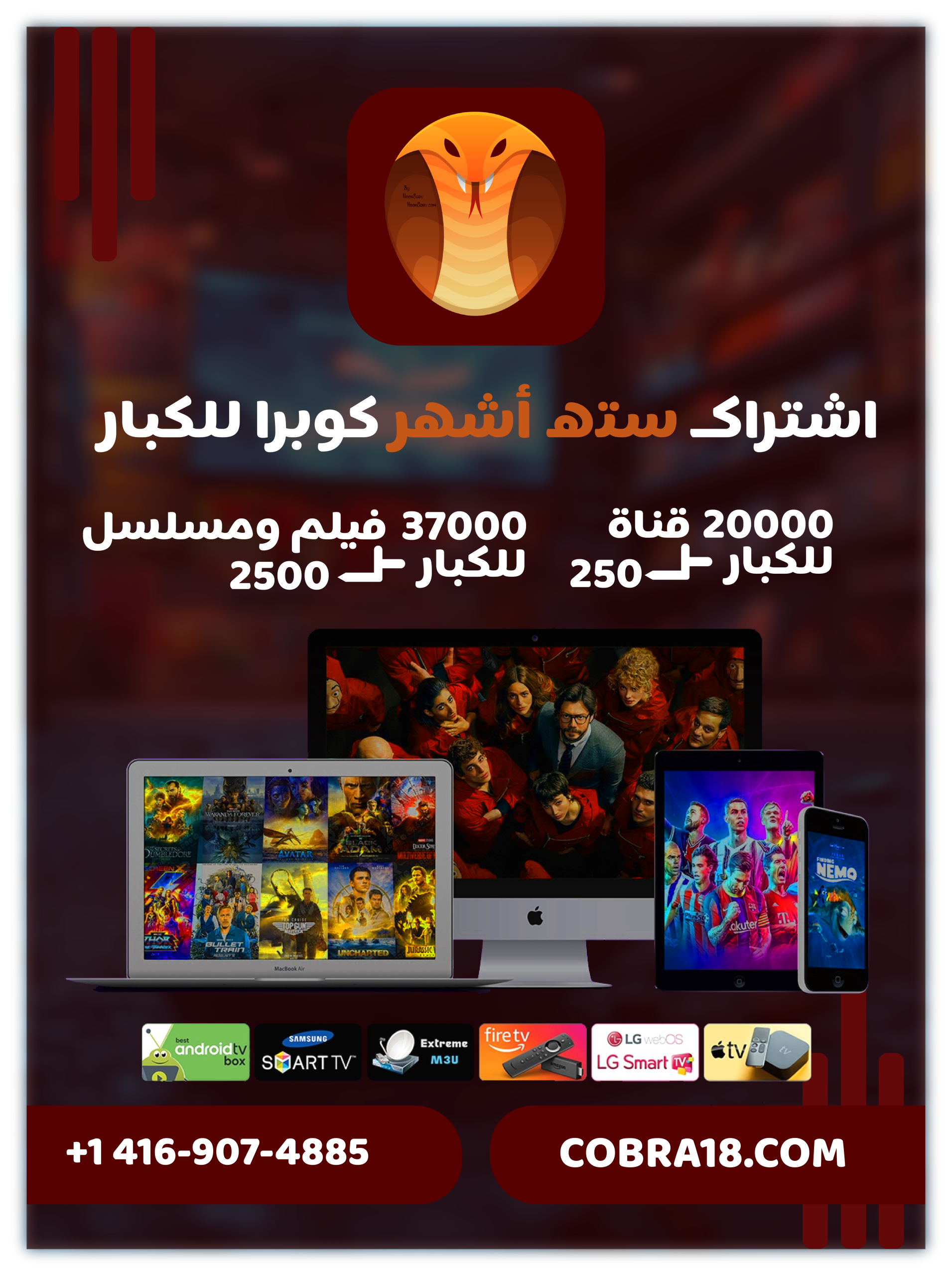 ست اشهر - الذهبيه